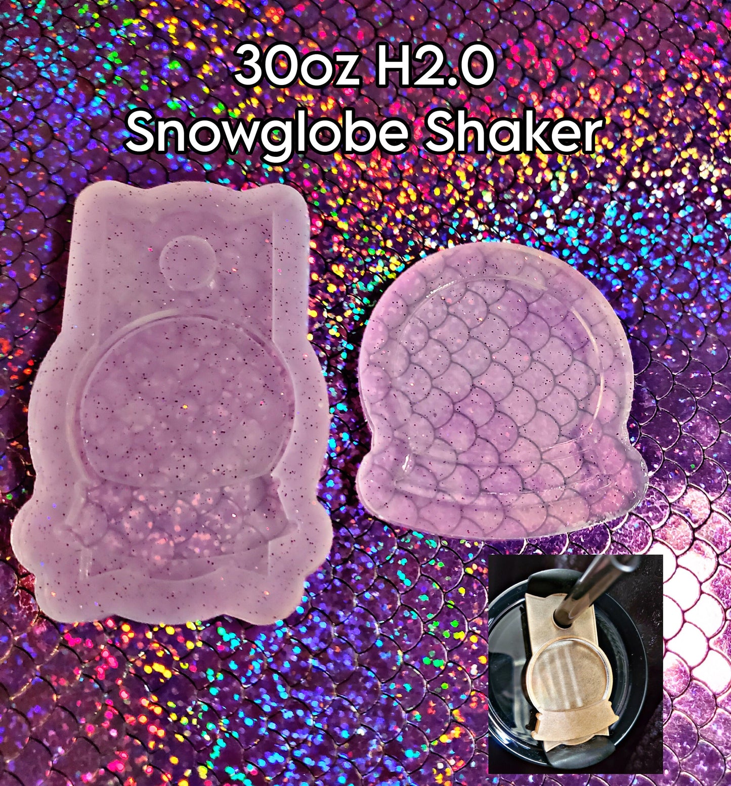 Snow globe Shaker Stanley H2.0 40oz All In One Mold