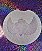 Baby feet with wings ornament mold